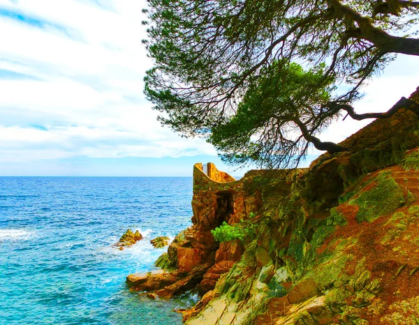 La playa en la Costa Brava — Foto de Stock