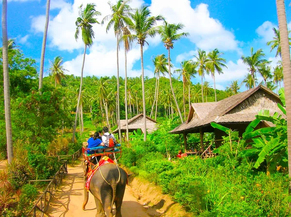 Toeristen rijden olifanten in Thailand — Stockfoto