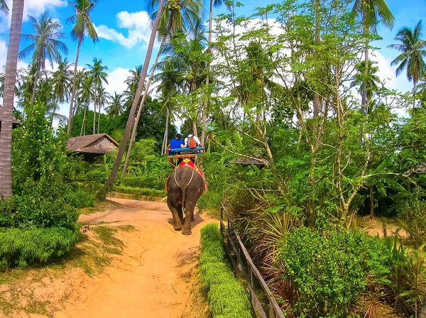 Toeristen rijden olifanten in Thailand — Stockfoto