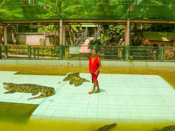 Koh Samui, Thaimaa - 28. kesäkuuta 2008: Paikallinen mies ja krokotiilien näyttely Koh Samuissa — kuvapankkivalokuva
