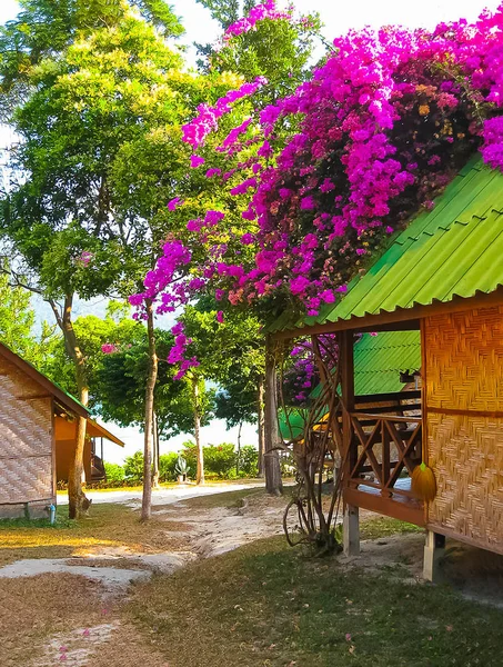 Tropiska strandhus i Thailand — Stockfoto