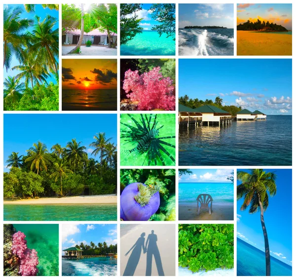 Collage de imágenes de maldivas de playa de verano - naturaleza y fondo de viaje —  Fotos de Stock