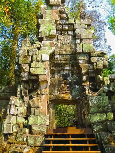 木と寺院、カンボジア ・ アンコールの写真 — ストック写真