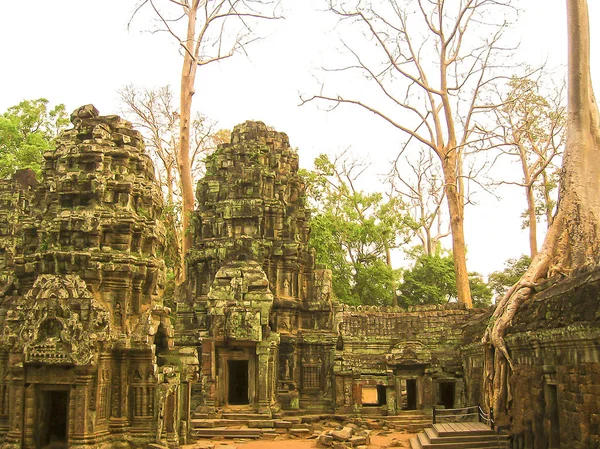 Klassisches Bild von ta prohm Tempel, angkor, Kambodscha — Stockfoto