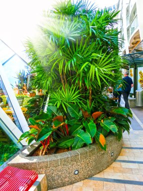 Barcelona, İspanya - Eylül, 6 2015: Royal Caribbean, Allure of the Seas