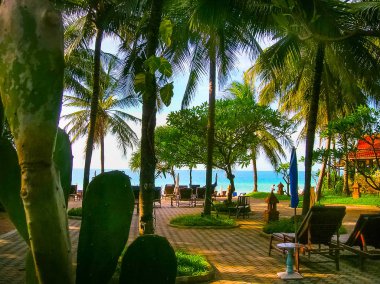 Koh Samui, Tayland - 27 Haziran 2008: Palmiye ağacı Chaweng Buri Resort Koh Samui, Tayland üzerinde 27 Haziran 2008 itibariyle ile plaj