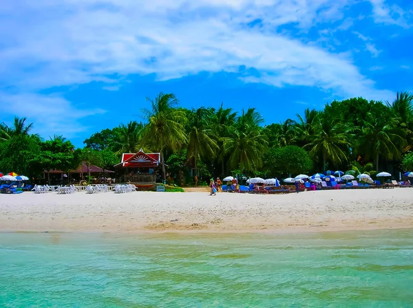 タイのサムイ島のアブストラクトリゾートでヤシの木があるビーチ — ストック写真