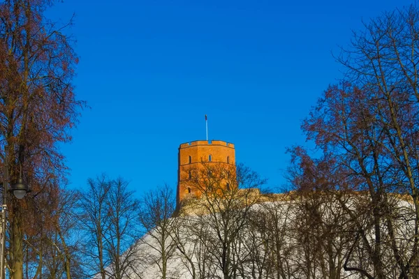 Vista Sulla Torre Gediminas Sulla Collina Del Castello Nel Centro — Foto Stock