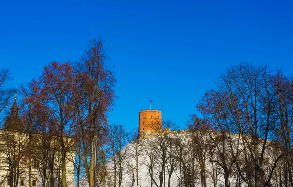 겨울에 리투아니아에서 빌니우스의 구시가지에 언덕에 타워는 빌뉴스에서 목적지 — 스톡 사진