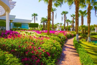 Sharm El Sheikh, Egypt - September 26, 2017: The main entrance and flowers at Monter Carlo Sharm Resort and SPA at Sharm El Sheikh, Egypt on September 26, 2017 clipart