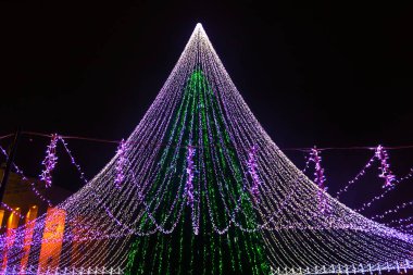 Vilnius, Litvanya Noel ağacının gece görünümü