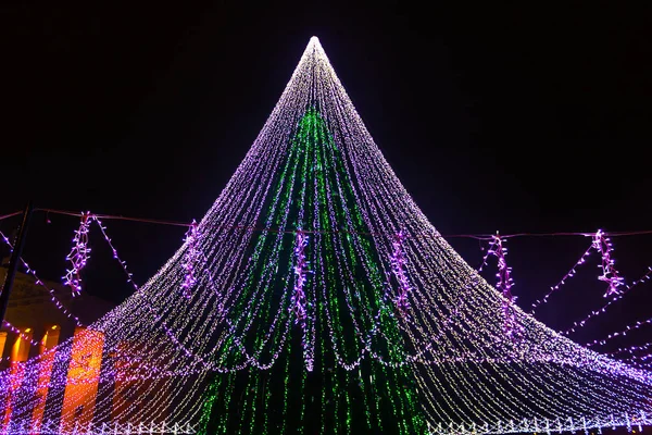 Vilnius, Litvanya Noel ağacının gece görünümü