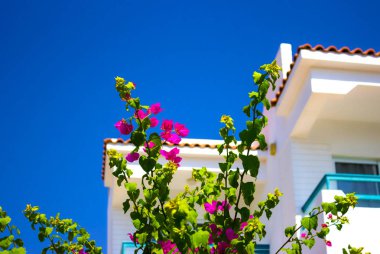 Otel cephe Balkonlu ve çiçekler, Sharm El Sheikh, Mısır ile dekore edilmiş windows