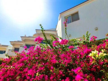 Otel cephe Balkonlu ve windows Sharm El Sheikh, Mısır