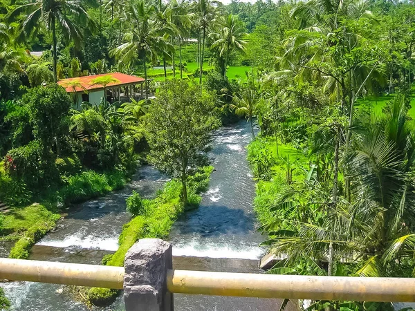 Berg Rivier Ayung Onder Jungle Bamboe Kreupelhout Ubud Bali Eiland — Stockfoto