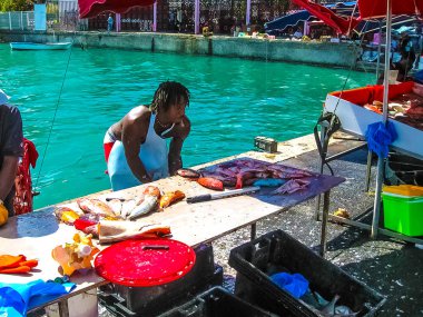 Noktası-a-Pitre, Guadeloupe - 09 Şubat 2013: kadın 09 Şubat 2013 itibariyle Guadeloupe atpoint-a-Pitre açık pazarda taze meyve satıyor. Pointe-a-Pitre Market harbour bölgesindeki bulunur