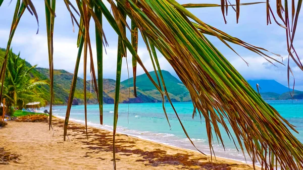 A praia tropical caribenha — Fotografia de Stock