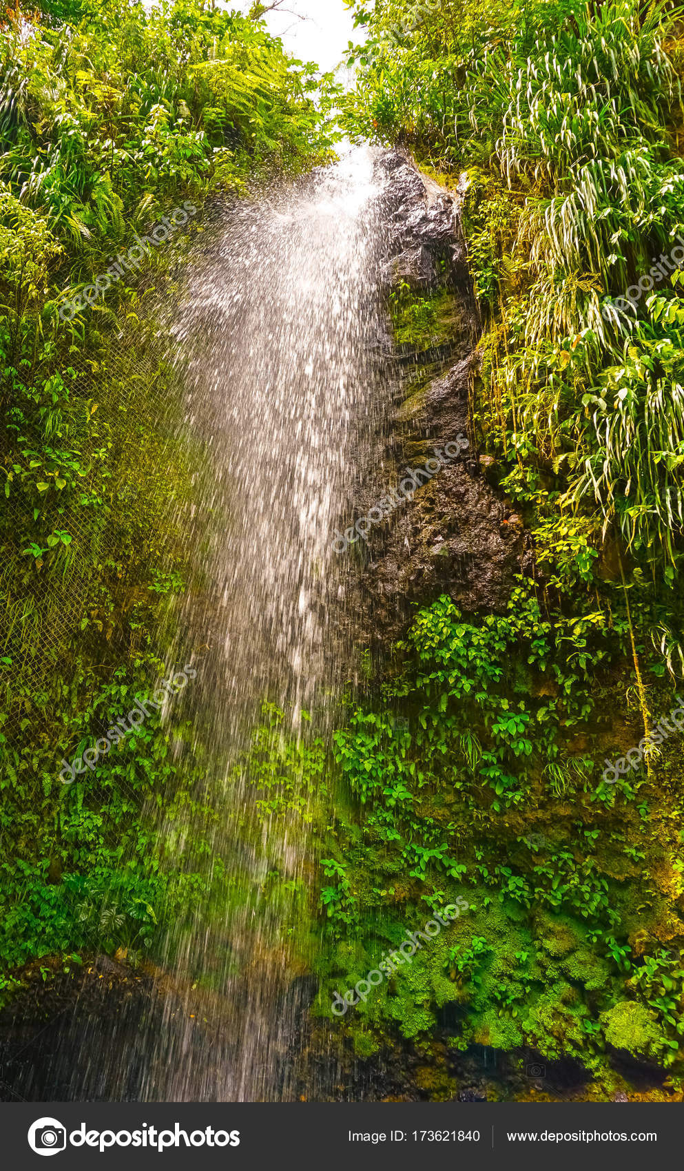 A Waterfall At The Botanical Gardens In Saint Lucia Stock Photo