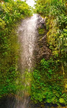 Saint Lucia botanik bahçeleri, bir şelale
