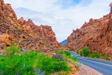 Yangın State Park, ABD Vadisi.