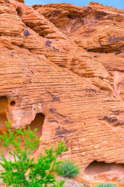 Yangın State Park, ABD Vadisi.