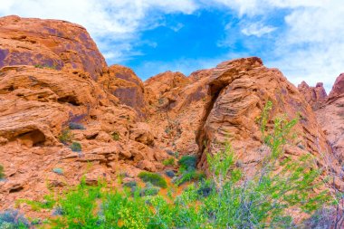 Yangın State Park, ABD Vadisi.