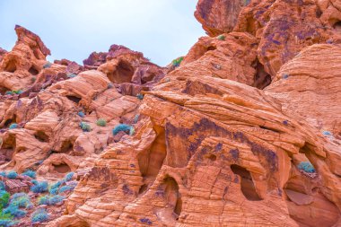 Valley of Fire State Park, ABD 'nin Nevada eyaletindeki en eski eyalet parkıdır ve 1968 yılında 
