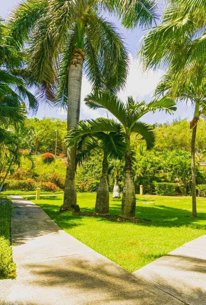 Karibiku Tropickou Pláž Pohled Ostrov Svatého Tomáše Usvi Charlotte Amalie — Stock fotografie