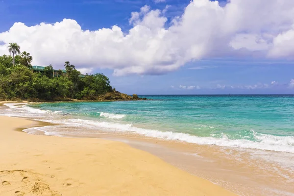 Кариби Тропічних Пляжу Вид Острова Сент Томас Usvi Шарлотта Амалія — стокове фото