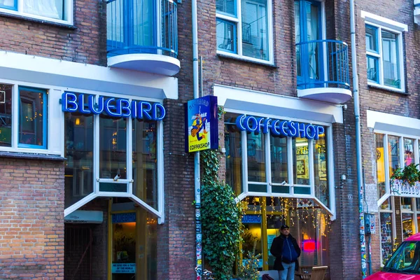 Амстердам, Нидерланды - 14 декабря 2017 года: табличка "Голубая неоновая кофейня" . — стоковое фото