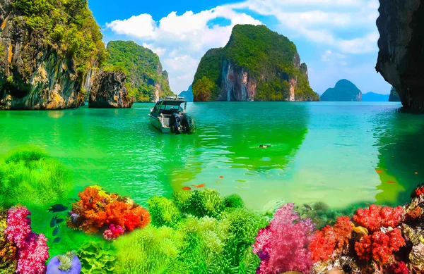 Colagem de recifes de corais subaquáticos e superfície do mar com ilha verde no fundo — Fotografia de Stock