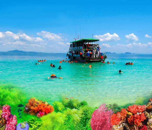 Туристы ныряют с маской в Андаманском море на острове Ко Крадан, Таиланд — стоковое фото