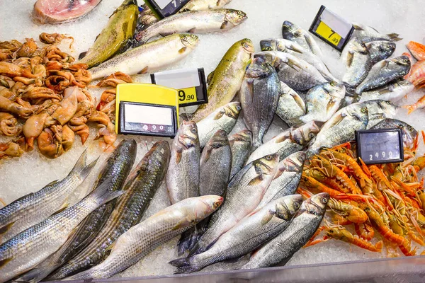 Italienska fiskmarknaden med många olika färska fiskar — Stockfoto