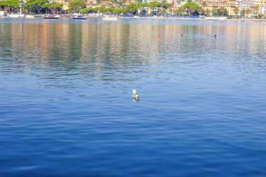 İtalya'da Kasaba Rapallo seyahat görünümü