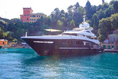 Portofino, Liguria, İtalya 'da çiçekli güzel bir koy.
