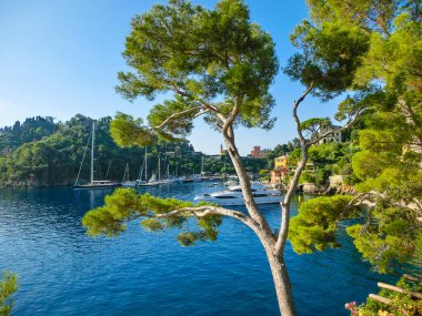İtalya 'da Portofino yakınlarında deniz kenarındaki villalar