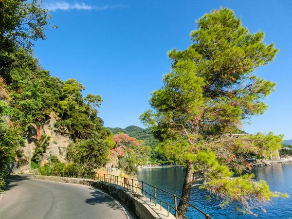 Bela estrada para Portofino de Santa Margherita — Fotografia de Stock