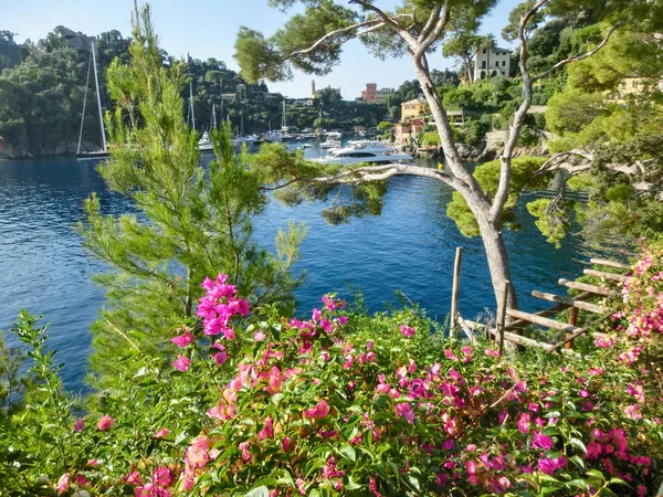 Moradias à beira-mar perto de Portofino na Itália — Fotografia de Stock