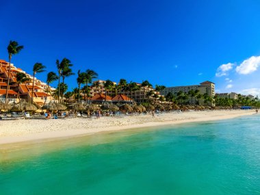 Karayip adası Aruba 'daki Palm Beach manzarası.