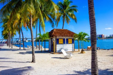 Bayfront Park 'ta sabahın erken saatlerinde Miami