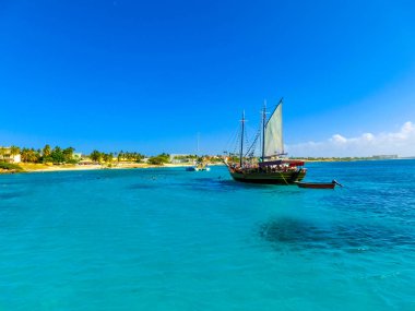 Turistler kıyı boyunca şnorkelle yüzüyor ve tropik Aruba adasının tadını çıkarıyorlar.