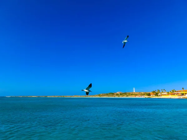 Pohled na Arubu. Aruba - krásný Karibský ostrov. — Stock fotografie