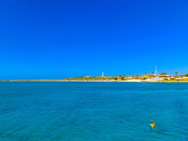 Tourists snorkeling along the coastline and enjoy the tropical island of Aruba clipart