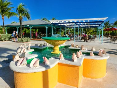 Half Moon Cay, Bahamalar - 02 Aralık 2019: