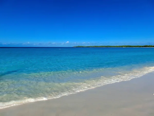 The view of beach on Half Moon Cay island at Bahamas. — Stock Photo, Image