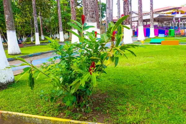 Parque Vargas, City Park en Puerto Limón, Costa Rica — Foto de Stock