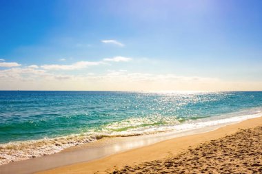 Fort Lauderdale plajı. Öngrubunda kendine özgü bir duvar var.