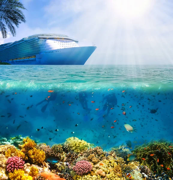 Collage Underwater Coral Reef Sea Crucero Palmera Concepto Crucero Feliz — Foto de Stock