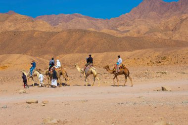 Sharm El Sheikh, Egypt - February 17, 2020: Tourist rides camel on beach with help of Egyptian man on February 17, 2020 in Sharm el Sheikh, Egypt.