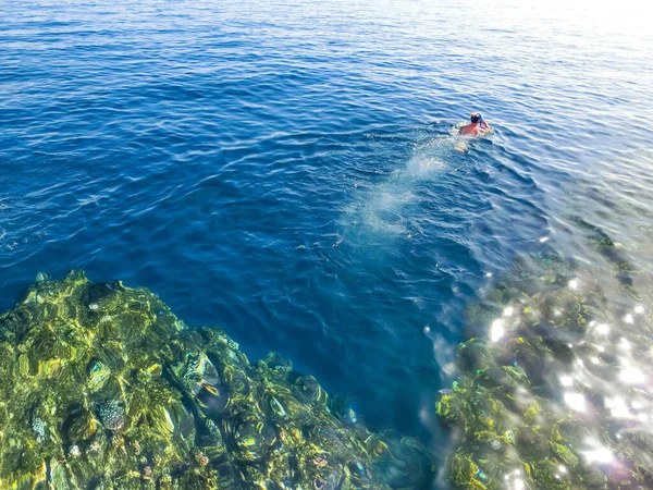 Pilares Coral Mar Rojo Egipto Gente Haciendo Snorkel Aguas Azules — Foto de Stock